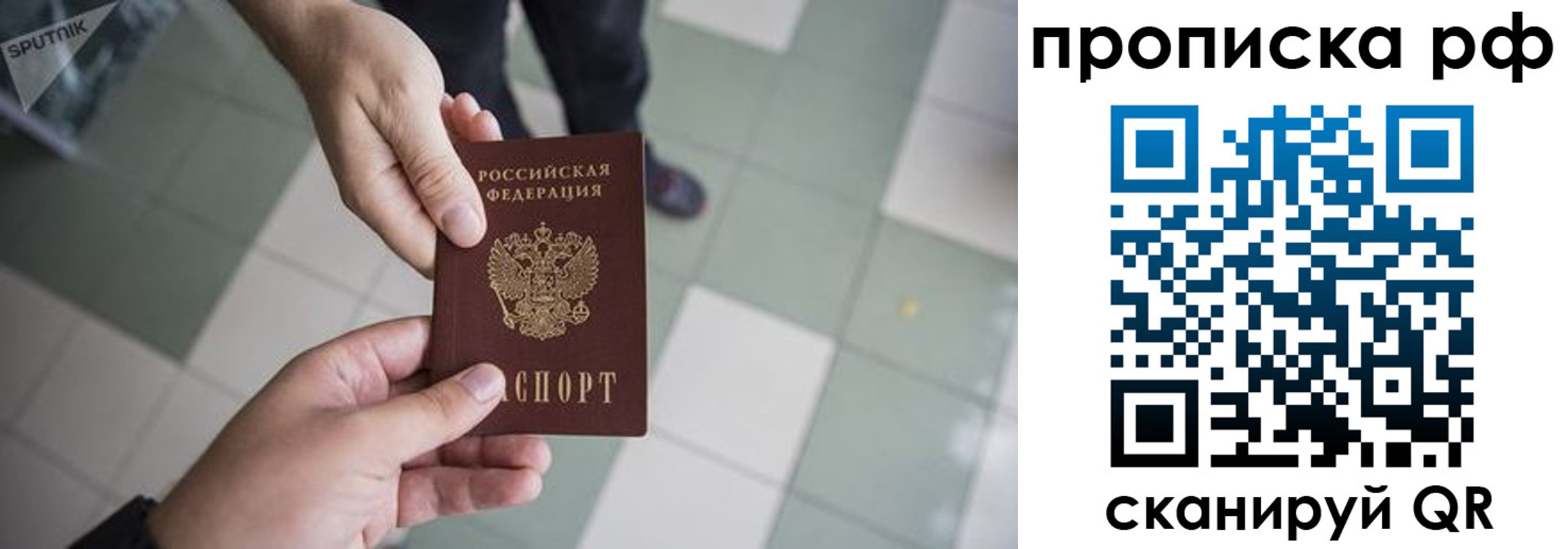 прописка гарантия в Арсеньеве